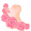 Cat among roses