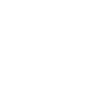 Cat Lover