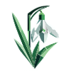 Delicate Polygonal Snowdrop Illustration