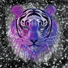 Tiger "Wild Spirit"