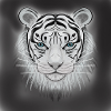 Blue EyeTiger
