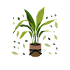 Plant Lover Gardening Gardening
