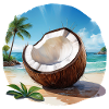 Kokosnuss am Strand