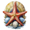 Seestern und Muscheln