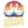Funny goose bumps geese