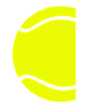 Allenatore di tennis