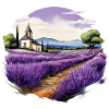 Landscape with lavender in France