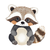 Raccoon Illustration