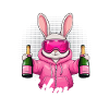 Official Skihaserl Party Crew