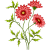 Blumen