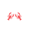 Crawfish Gifts