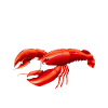Crawfish Gifts