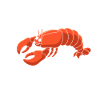 Crawfish Gifts
