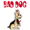 Angry little dog