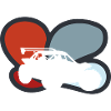 Car racer motorist