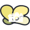 Photographer SLR