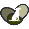 Éducateur canin d’agilité