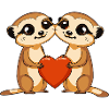 Suricate Couple Saint-Valentin