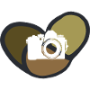 Photography SLR Camera Camera