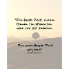 Der beste Zeitpunkt