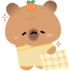 Capybara endormi