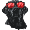 Labrador Retriver Cool Sunglasses