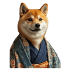 Shiba Inu
