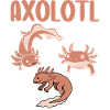 Axolotl Facts – Fun Amphibian Design