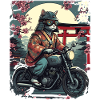 Chat samouraï à moto