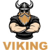 Viking Warrior 1