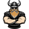 Viking Comic