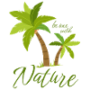 Be one with nature - Palms