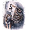 Wolves & Full Moon – Mystical Wilderness