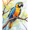 Parrot in nature