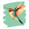 Hummingbird