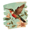Hummingbird