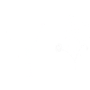 Minimalist Flowers