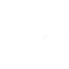 Minimalist flowers