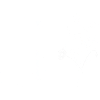 Minimalist flowers