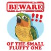 Perroquets Conure Conures Cadeaux