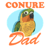 Conure Papa Perroquets Conures Cadeau