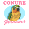 Conure Grand-mère Perroquets Conures Cadeau