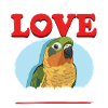 Conure Conures Papageien Geschenk
