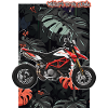 Superbike // Illustration