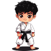 Taekwondo Karate Martial Arts