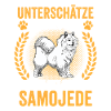Samojede Samojedenspitz Frau mit Samojede