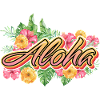 Aloha Holiday Hawaii Gift