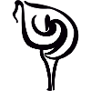Calla Lily