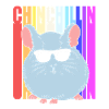 Chinchilla