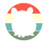 Chinchilla